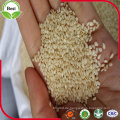 Großhandel Hulled White Sesame Seed